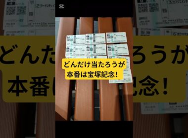 【開催初日】競馬予想が神懸かった阪神競馬場【現地参戦】