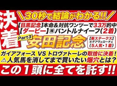 🎯30秒で全てわかる→【安田記念2026予想】ガイアフォース VS トロヴァトーレの取捨に結論！⚠人気馬を消してまで買いたい爆穴とは？この１頭に全てを託す！