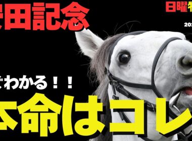 【日曜特別R穴馬まとめ】安田記念「急遽、評価が急上昇する事件が!?」勝率AI予想で見る過小評価なウマイ1頭！【水無月S2026】