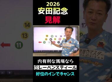 見解【安田記念2026 】