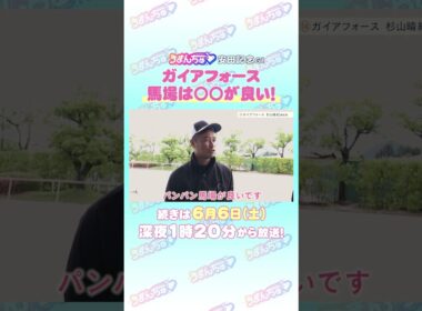 安田記念 GⅠ トレセン直撃取材！ #競馬 #安田記念 #ガイアフォース #杉山晴紀 調教師