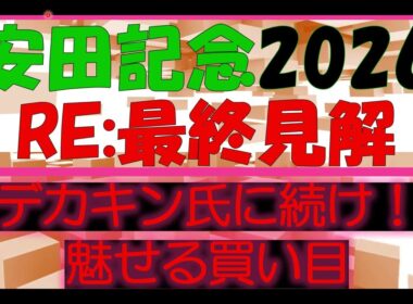 安田記念2026　最終見解