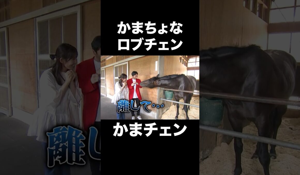 【かまチェン✨】かまって欲しい #ロブチェン が可愛すぎる🐎💖