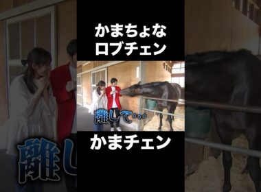【かまチェン✨】かまって欲しい #ロブチェン が可愛すぎる🐎💖