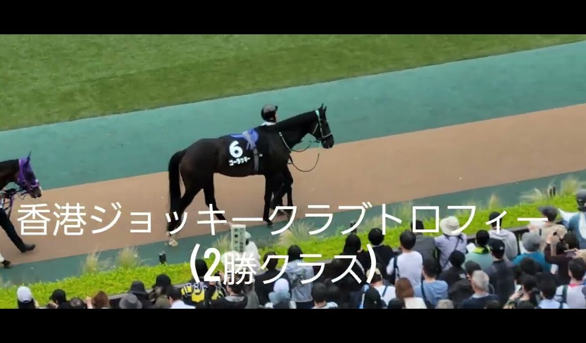 【天皇賞(秋)を目指せる⁉️】ゴーラッキー(牡3)が香港ジョッキーCT(2勝クラス)を快勝❗