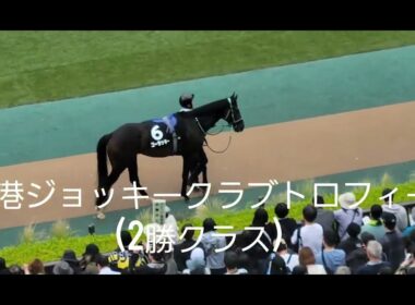 【天皇賞(秋)を目指せる⁉️】ゴーラッキー(牡3)が香港ジョッキーCT(2勝クラス)を快勝❗