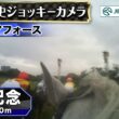 【ジョッキーカメラ】ガイアフォース騎乗の横山武史騎手ジョッキーカメラ映像｜2026年安田記念｜JRA公式