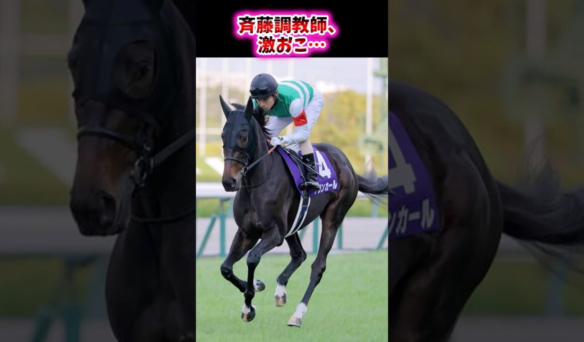 斉藤調教師、激おこ…【競馬反応集】 #アランカール #阪神jf