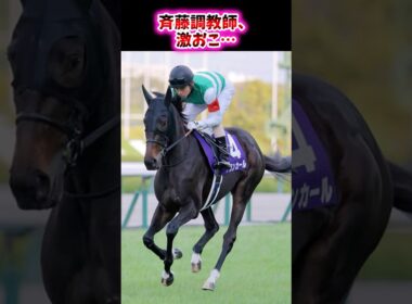 斉藤調教師、激おこ…【競馬反応集】 #アランカール #阪神jf