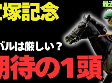 【宝塚記念2026攻略】「絶対軸2頭！」特殊な阪神芝2200ｍ向きの注目馬は？【競馬予想】