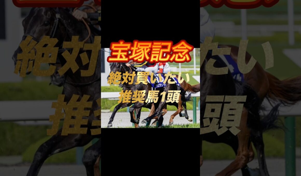 宝塚記念2026 絶対買いたい推奨馬1頭紹介