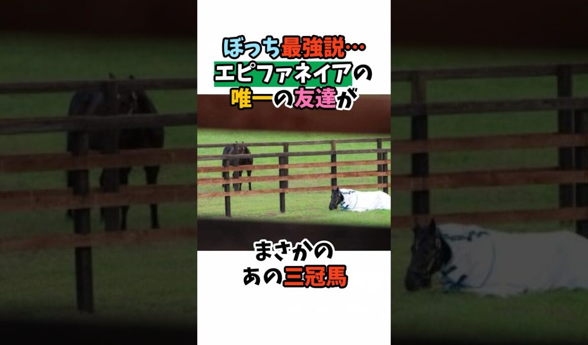ぼっち最強説･･･エピファネイアの唯一の友達がまさかのあの三冠馬#競馬 #horse