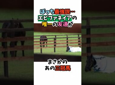 ぼっち最強説･･･エピファネイアの唯一の友達がまさかのあの三冠馬#競馬 #horse