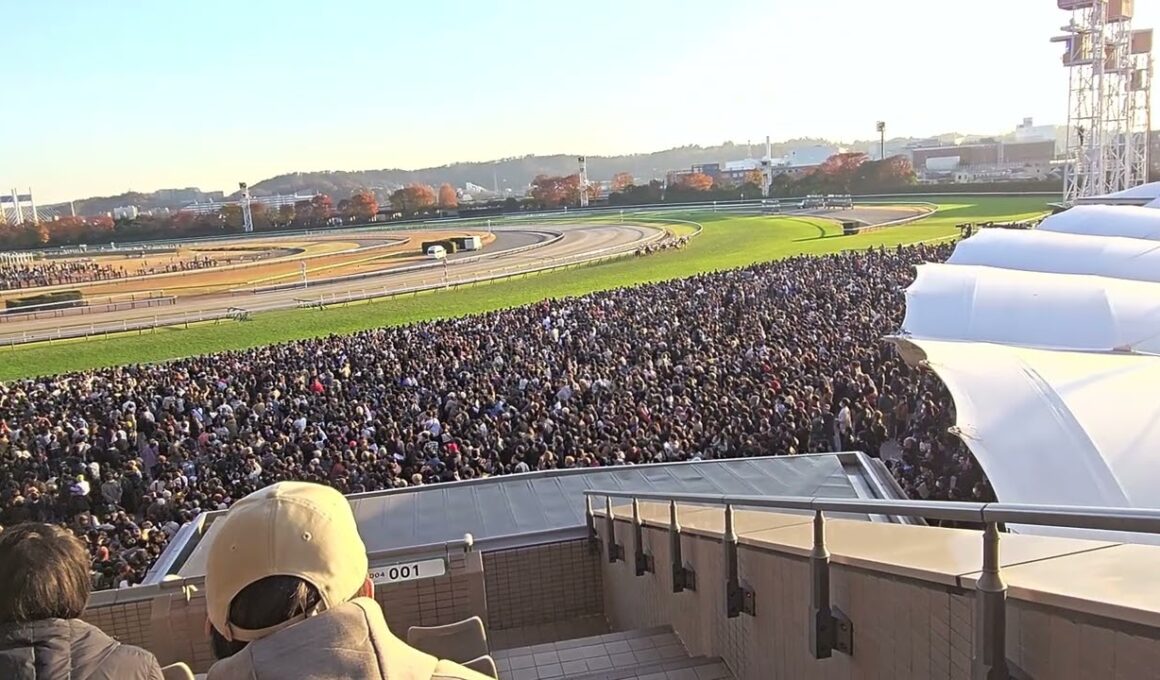 2025/11/30 第45回 ジャパンカップ(G1)　東京競馬場