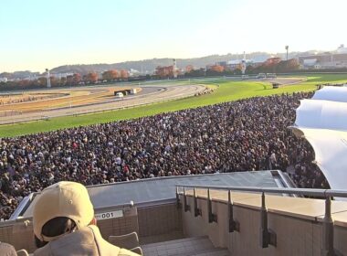 2025/11/30 第45回 ジャパンカップ(G1)　東京競馬場