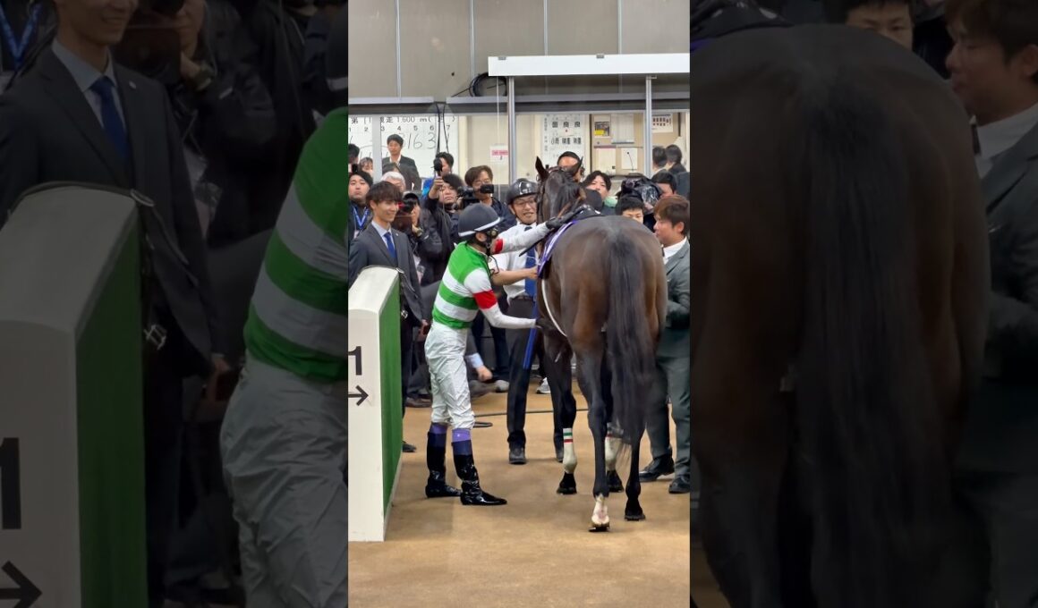 安田記念 勝った武豊騎手とグータッチをする今村聖奈騎手 #安田記念 #武豊 #今村聖奈