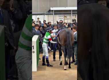安田記念 勝った武豊騎手とグータッチをする今村聖奈騎手 #安田記念 #武豊 #今村聖奈