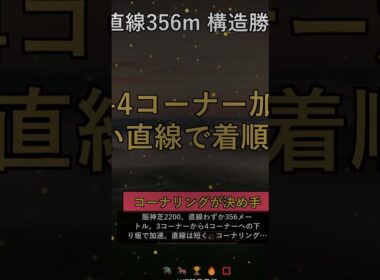 【宝塚記念2026】阪神内回り2200の最終Tips｜直線356mと先行有利の構造 #競馬 #競馬予想 #shorts