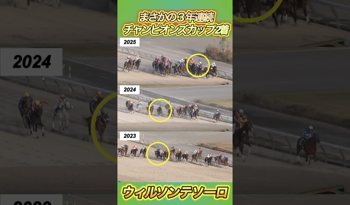 チャンピオンズCでウィルソンテソーロが3年連続まさかの2着…　#競馬  #チャンピオンズカップ  #ウィルソンテソーロ  #shorts