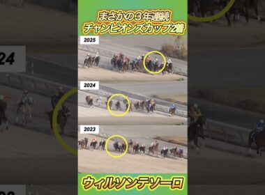 チャンピオンズCでウィルソンテソーロが3年連続まさかの2着…　#競馬  #チャンピオンズカップ  #ウィルソンテソーロ  #shorts