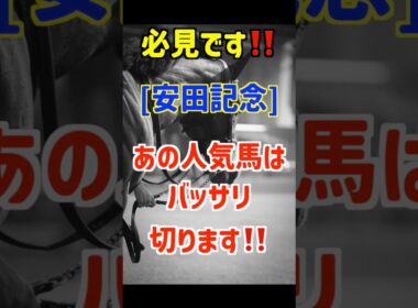 【安田記念2026 予想】パンジャタワーは買いません