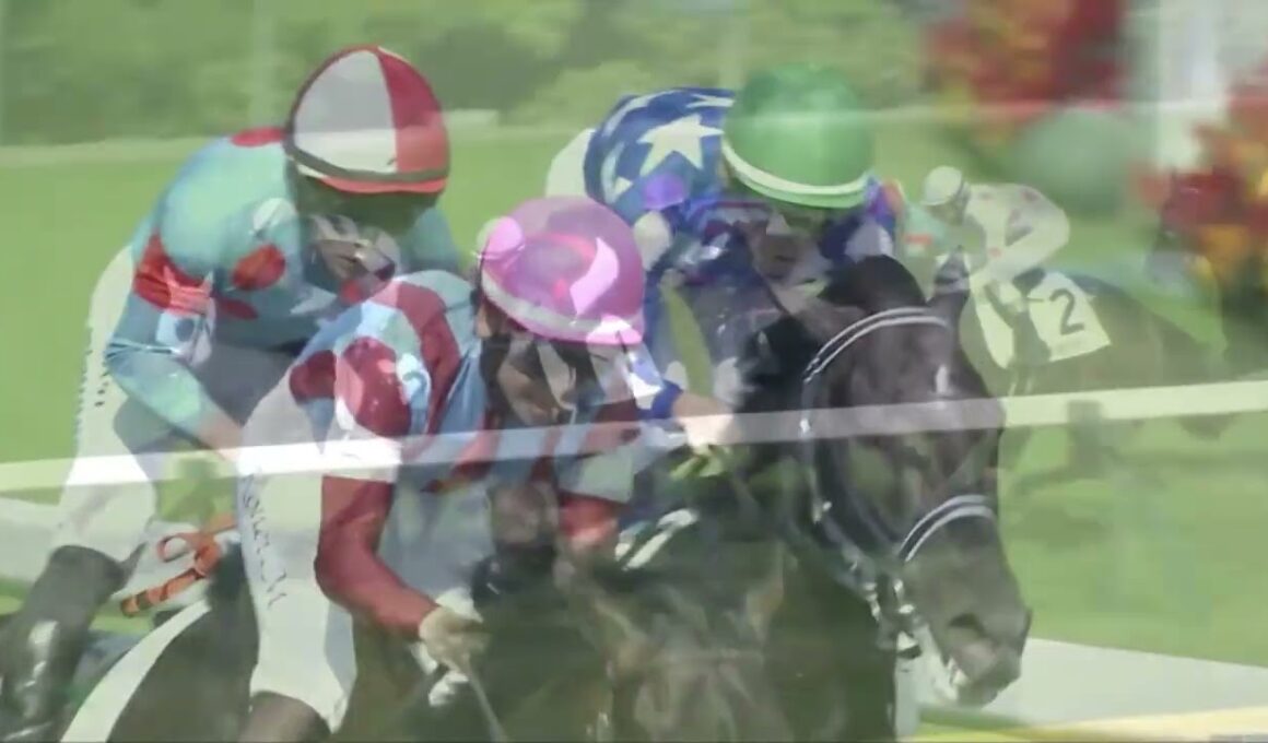 2026 Japan Derby | 日本ダービー 東京優駿