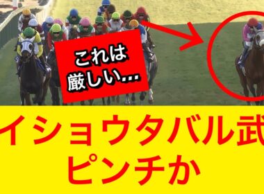 【宝塚記念2026】メイショウタバル武豊騎手は今回厳しい戦いを強いられる！？【競馬の反応集】