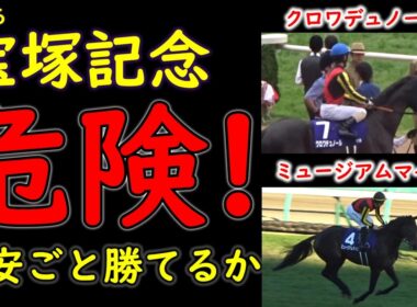 宝塚記念2026見えている不安｜それでも消せない主役二頭【クロワデュノール×ミュージアムマイル】
