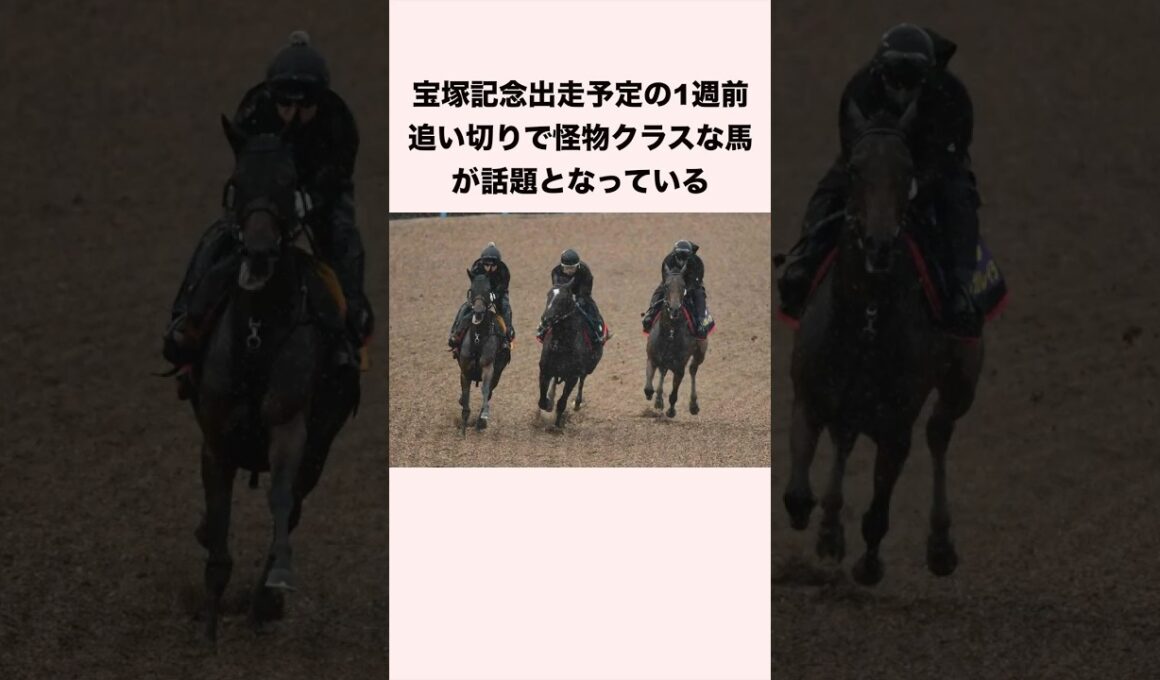 宝塚記念出走予定の1週前追い切りで怪物クラスな馬が話題となっている #競馬 #競馬予想 #shorts