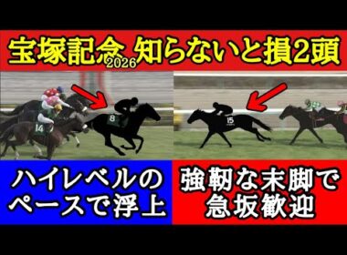 【宝塚記念2026】厳選穴馬2頭！肉弾戦になりそうな豪華メンバーで知らなきゃ損の馬を大公開！
