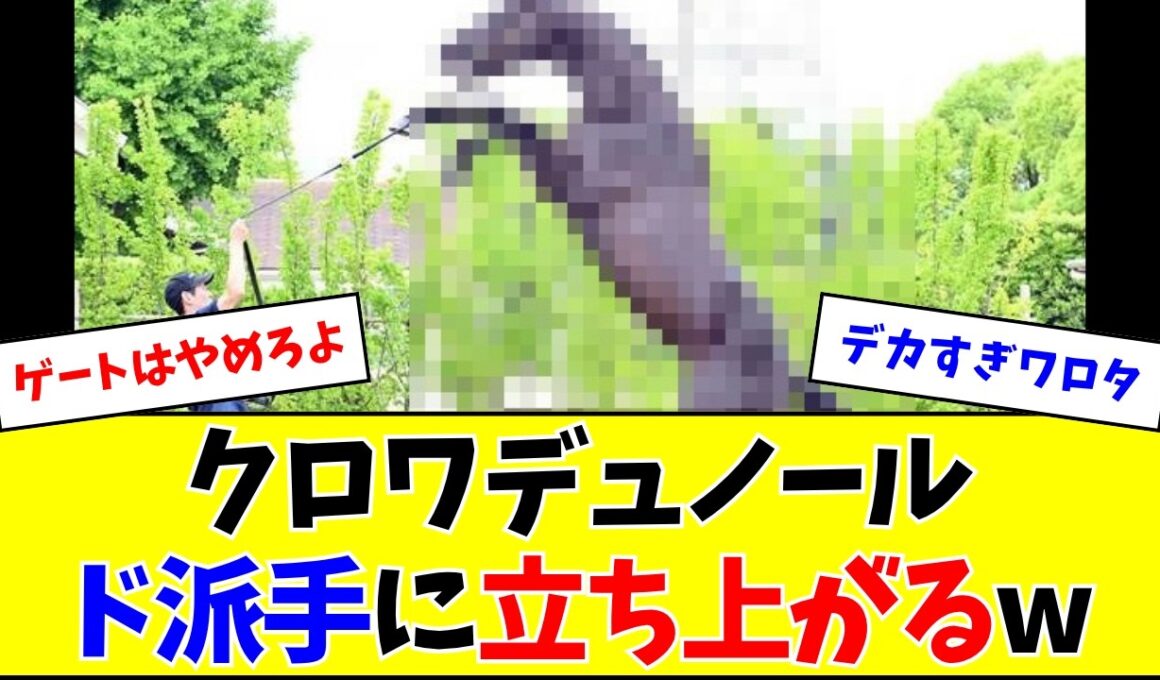 【宝塚記念】フォトパドックで立ち上がるクロワデュノールがヤバいw w w