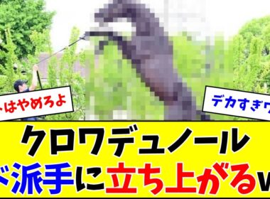 【宝塚記念】フォトパドックで立ち上がるクロワデュノールがヤバいw w w