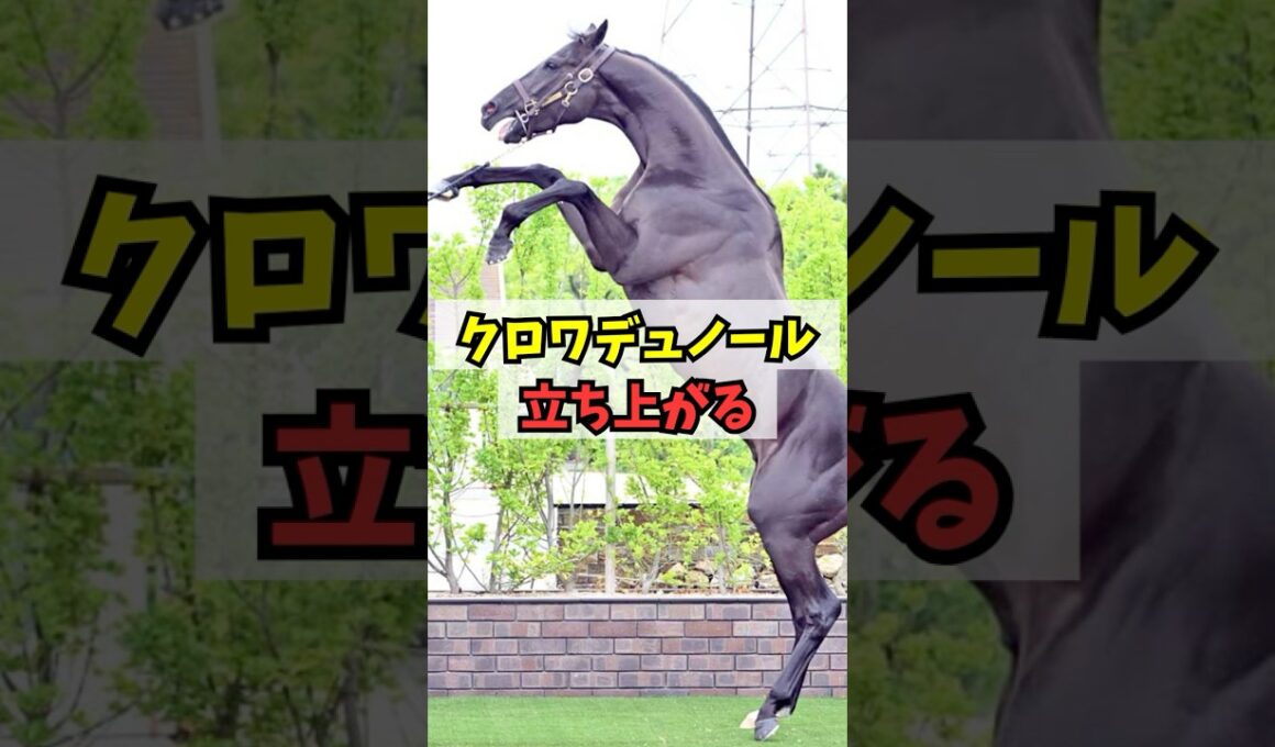 【宝塚記念】クロワデュノール、ド派手に立ち上がるw w w #shorts