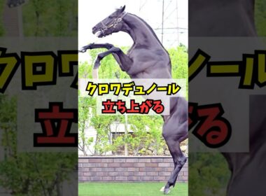 【宝塚記念】クロワデュノール、ド派手に立ち上がるw w w #shorts