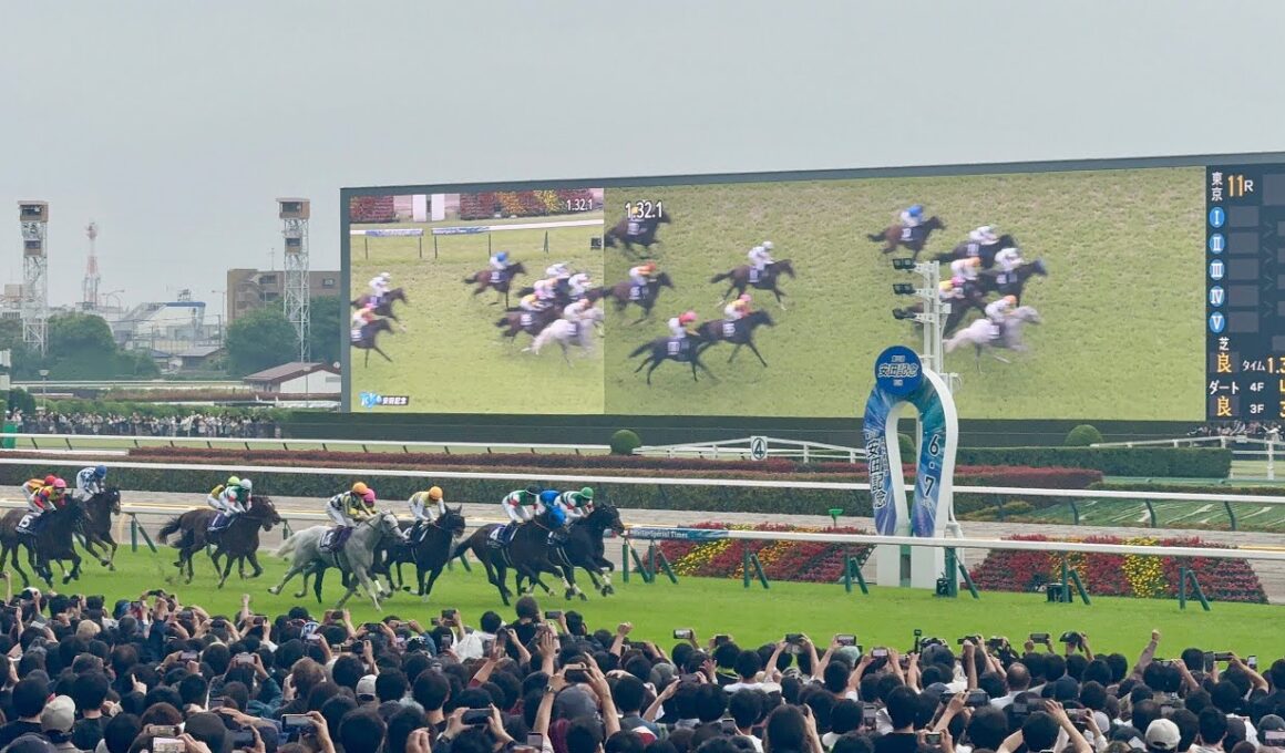 【競馬現地映像4K】シックスペンス安田記念制覇‼️レーベンスティールは安田記念7着――届かなかったGI制覇。それでも、天皇賞・秋でもう一度夢を見たい