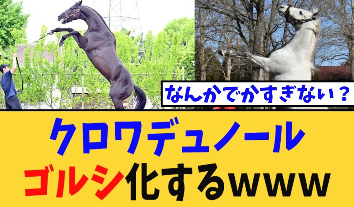 【宝塚記念】クロワデュノール、ゴルシ化してしまうｗｗｗ【競馬反応集】