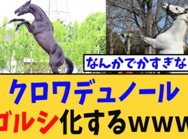 【宝塚記念】クロワデュノール、ゴルシ化してしまうｗｗｗ【競馬反応集】