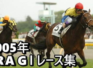【データ付き】2005年 JRA G１ レース集