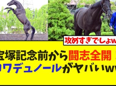 宝塚記念前から闘志全開！ クロワデュノールがヤバいwww【競馬】