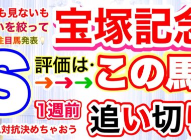 【宝塚記念2026】穴党専科しーいちの1週前追い切り評価、クロワデュノールは疲れ無し？ミュージアムマイルはレーン騎手挽回できるか！