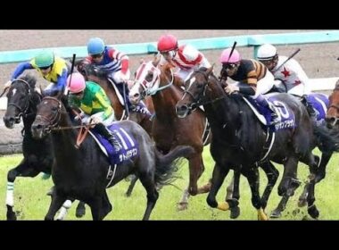 🏇🔥【宝塚記念2026】クロワデュノール、父キタサンブラックも敗れた「春3戦目の壁」に挑む！能力か経験か、王者の真価が問われる✨🐎🌸