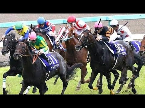 🏇🔥【宝塚記念2026】クロワデュノール、父キタサンブラックも敗れた「春3戦目の壁」に挑む！能力か経験か、王者の真価が問われる✨🐎🌸