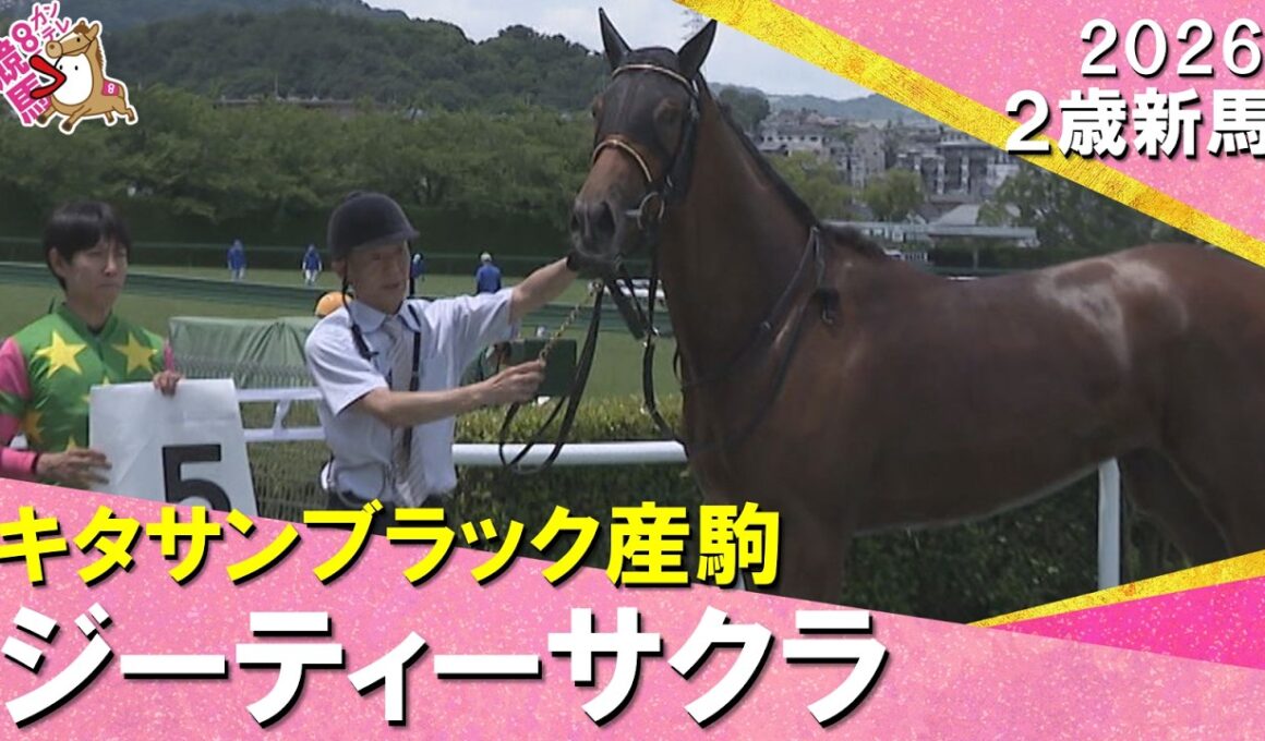 【関西一番星は衝撃Ｖ】阪神２歳戦史上最速の上がりでジーティーサクラが勝利！北村友一騎手「非常にいい内容」2026年6月6日(土)２歳新馬　阪神芝1600m　実況：川島壮雄【カンテレ公式】