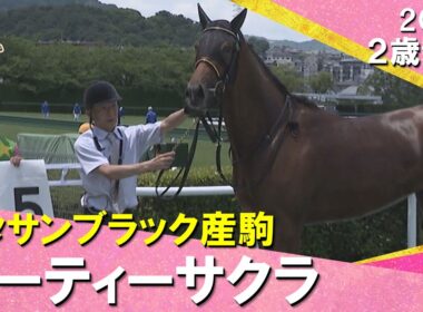 【関西一番星は衝撃Ｖ】阪神２歳戦史上最速の上がりでジーティーサクラが勝利！北村友一騎手「非常にいい内容」2026年6月6日(土)２歳新馬　阪神芝1600m　実況：川島壮雄【カンテレ公式】