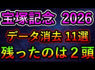 宝塚記念2026 【消去データ11選】　最後まで残ったのは2頭のみ