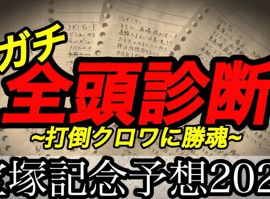 【宝塚記念2026予想】有馬記念のやり直しwithクロワ【競馬予想】