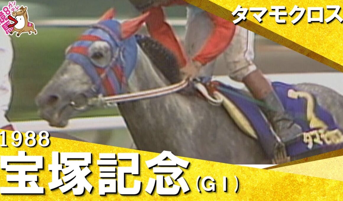 【長距離王とマイル王が激突】1988年宝塚記念 (ＧⅠ) タマモクロス【カンテレ公式】
