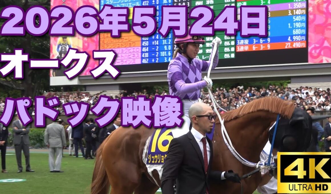 【4K動画】2026年優駿牝馬オークスパドック【ジュウリョクピエロ】