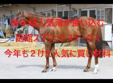 毎年超人気薄が食い込む函館スプリントステークス 今年も２けた人気に買い材料あり