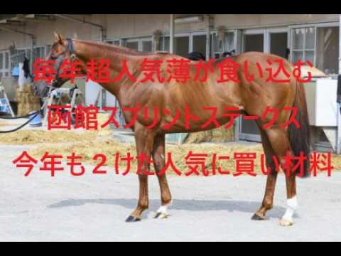 毎年超人気薄が食い込む函館スプリントステークス 今年も２けた人気に買い材料あり